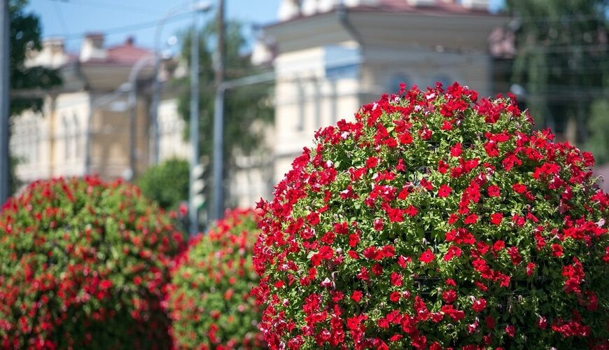    Фото: KazanFirst/ Марат Мугинов