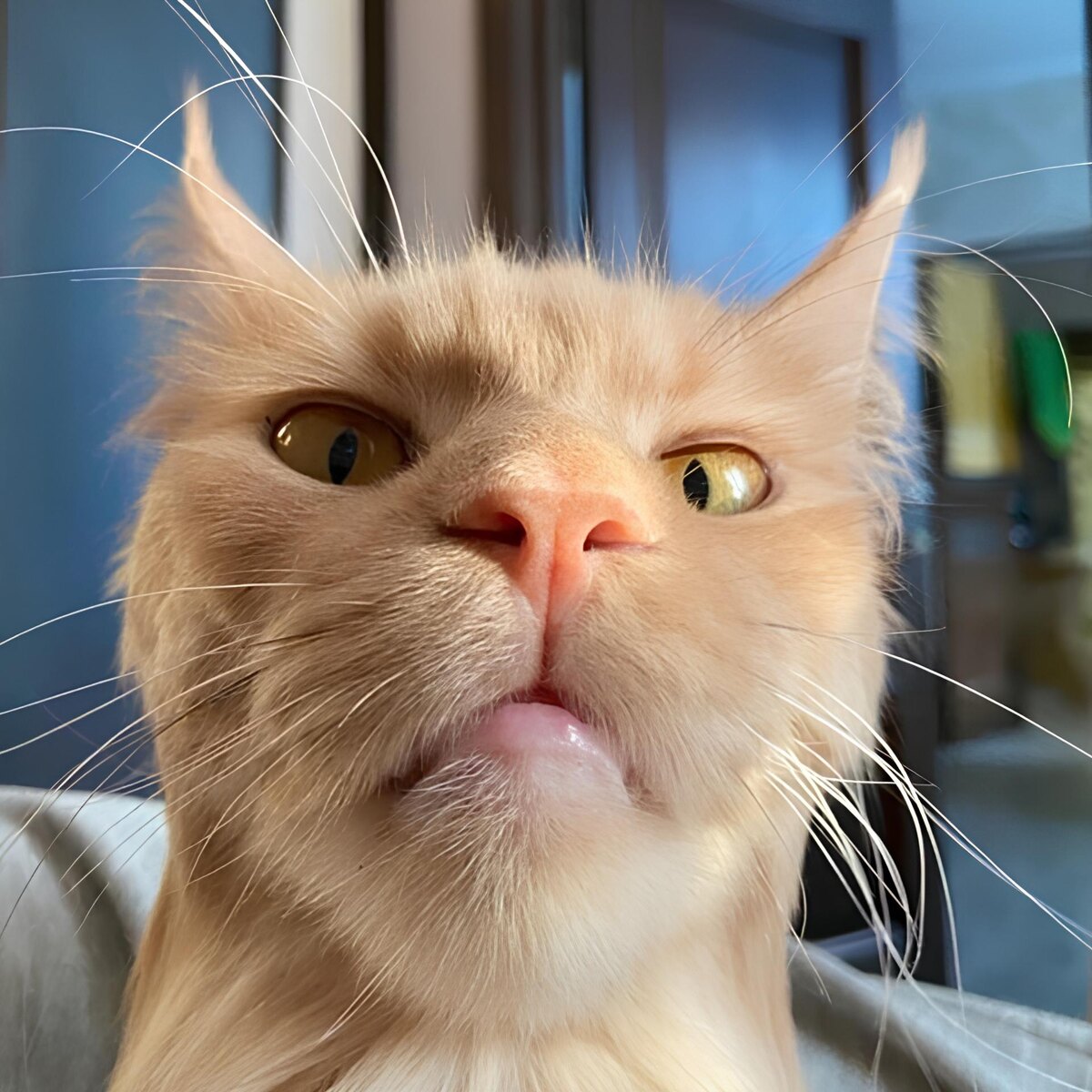 – Ты это, не благодари, если чё...