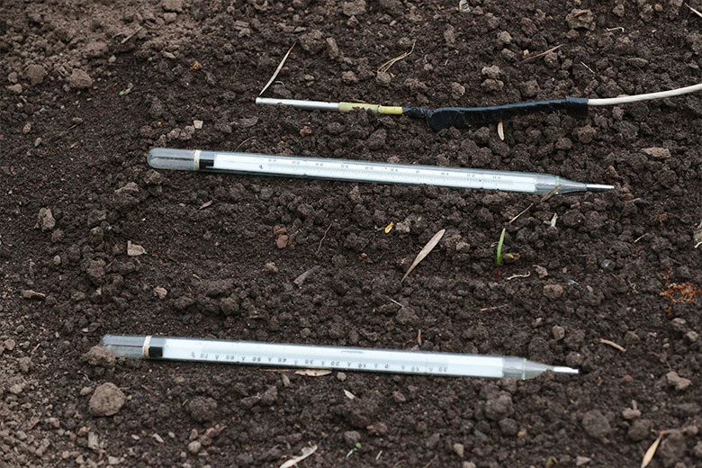    Сергей Булкин/NEWS.ru