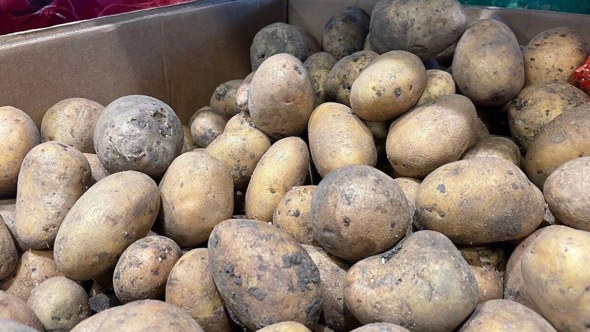     Источник: novostivolgograda.ru