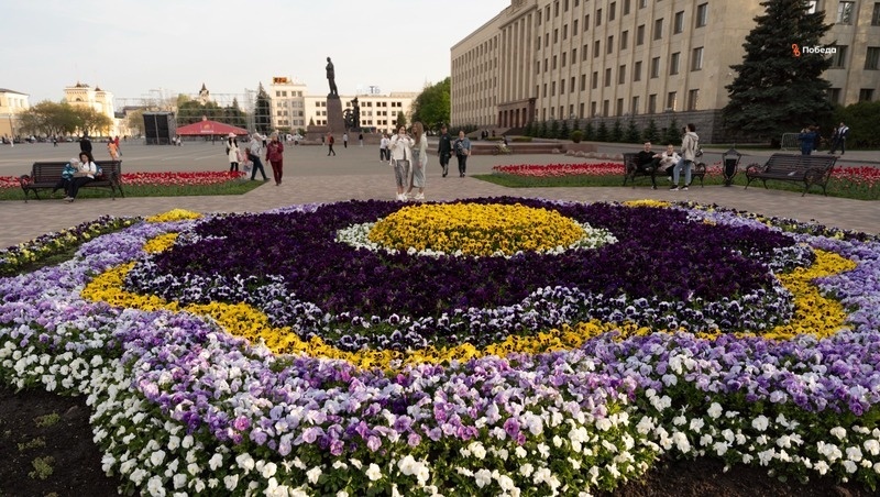    Поддержку от государства в 2024 году получили 193 тыс. ставропольских семей Фото: Дмитрий Сидоренко / / ИА «Победа26»