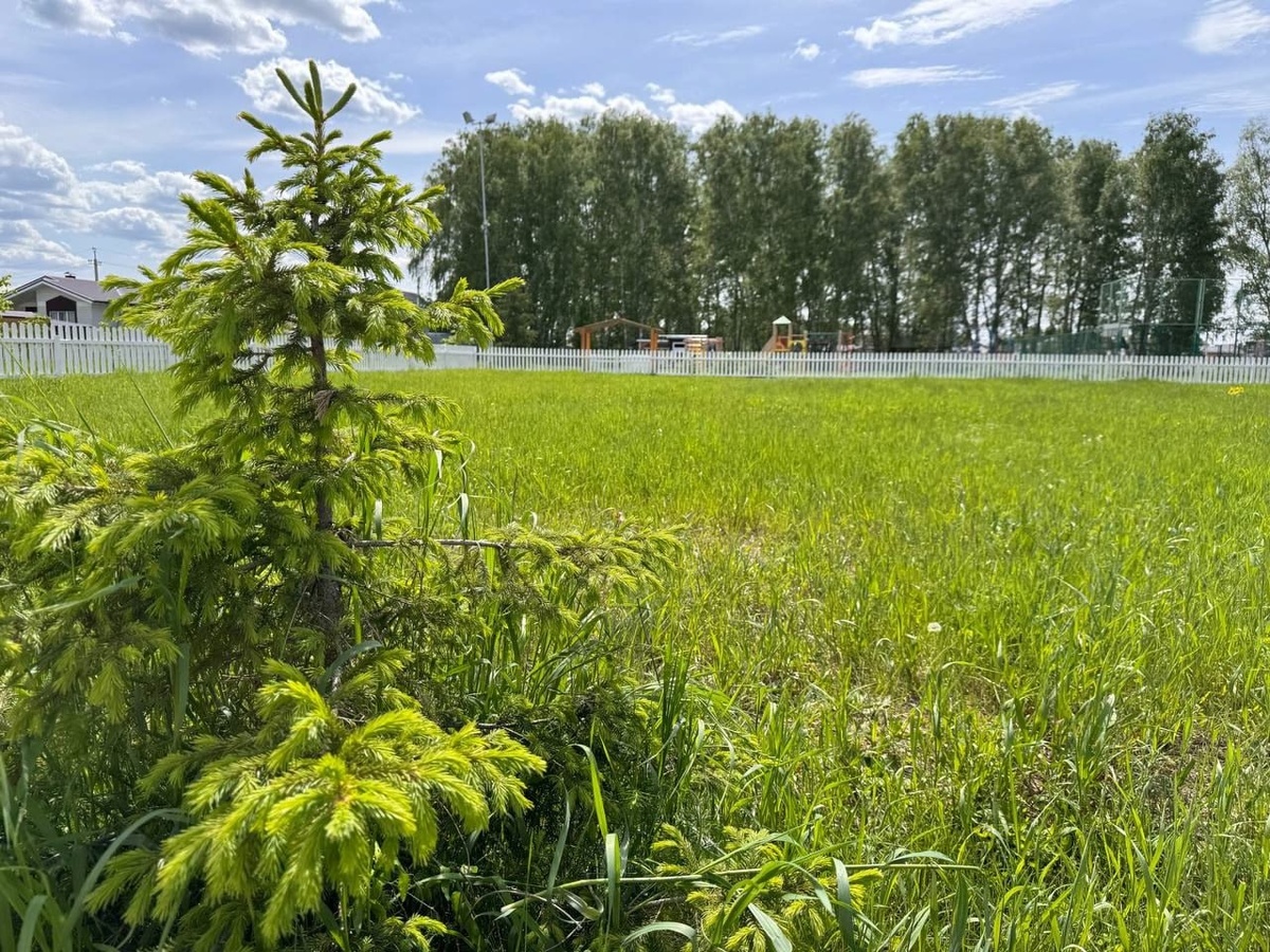 ул. Раздольная, коттеджный поселок Аист (Красноярка, Омск)