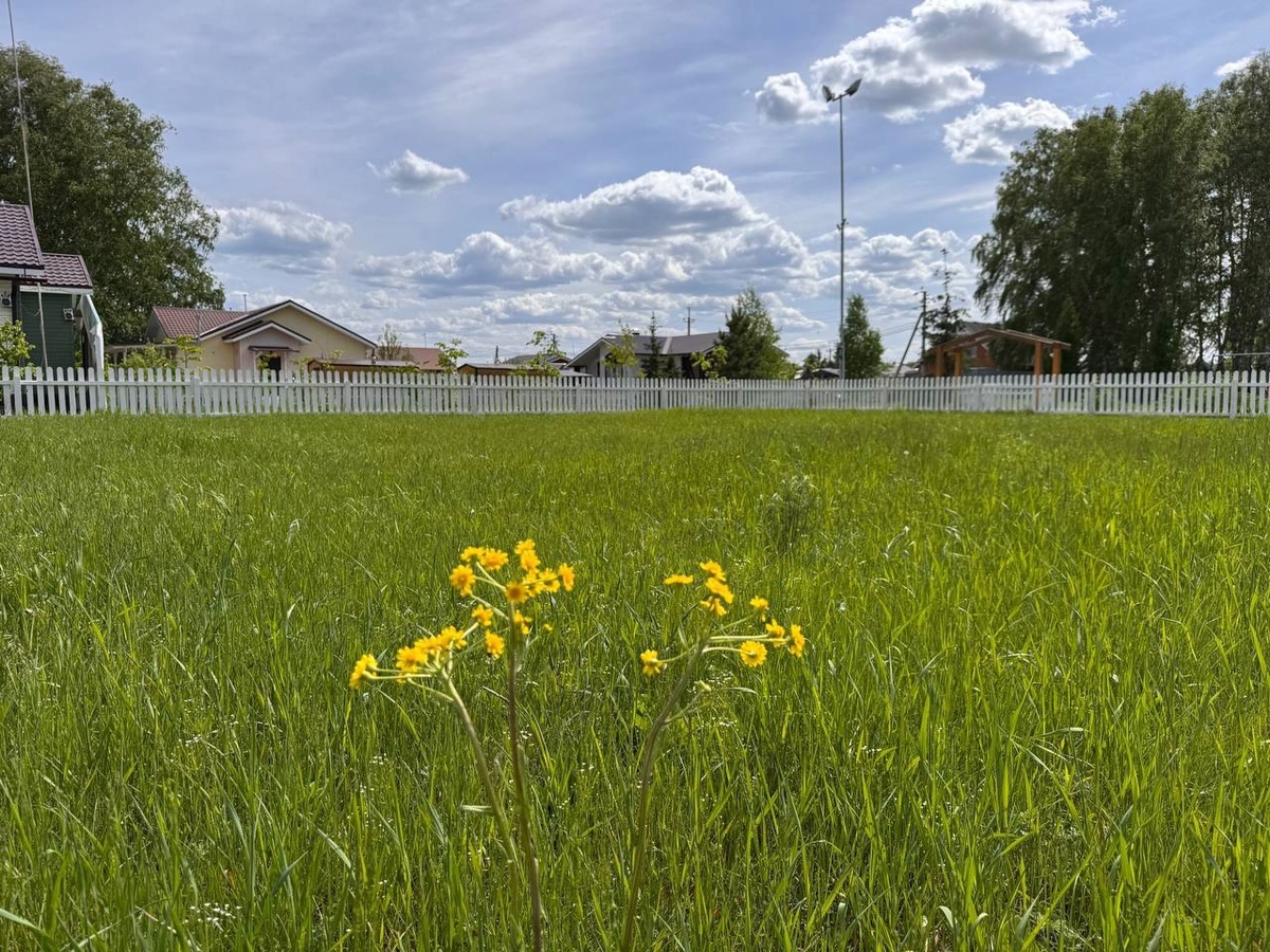 ул. Раздольная, коттеджный поселок Аист (Красноярка, Омск)