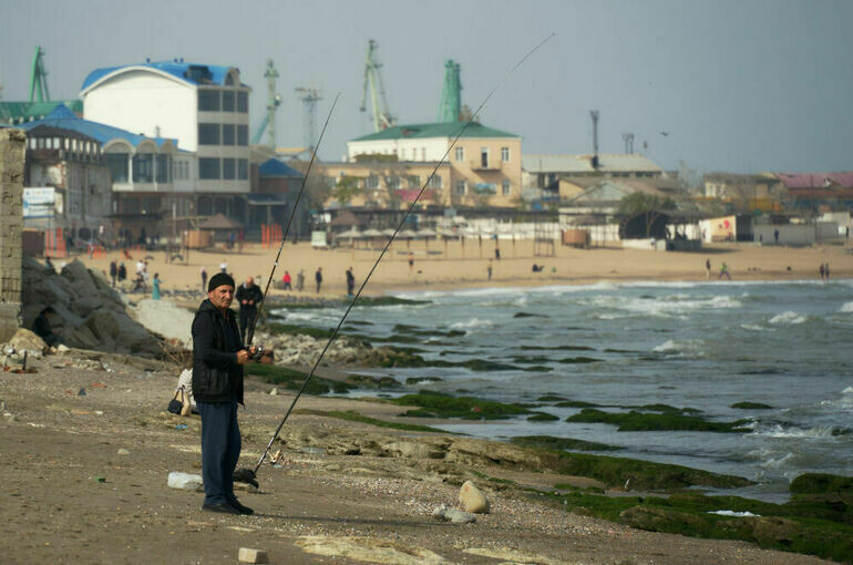   Алексей Даничев/РИА Новости