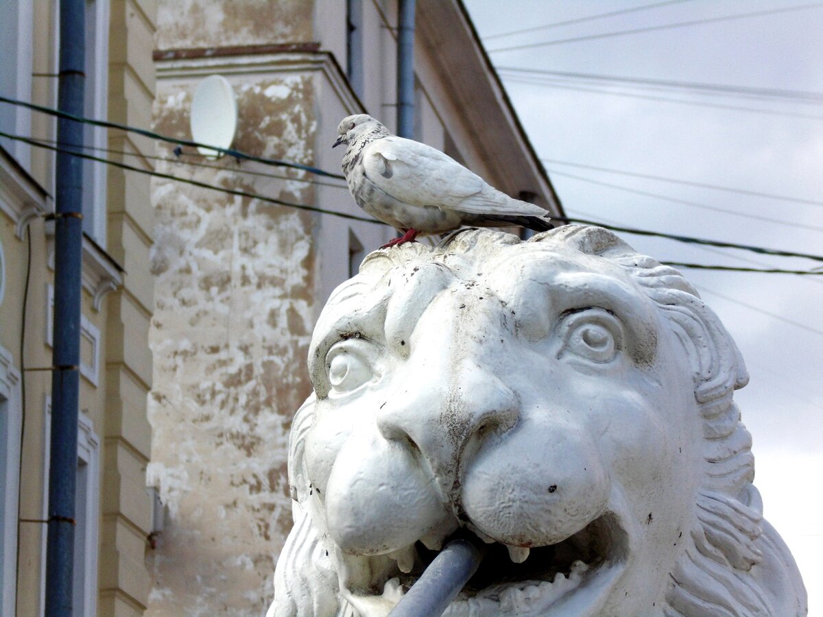 Фото автора 