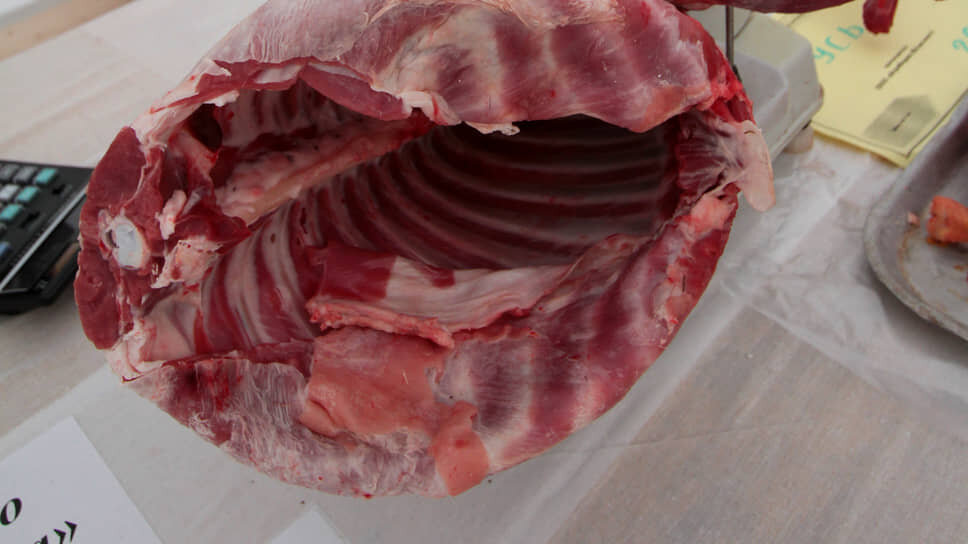 Фото: Максим Кимерлинг / Коммерсантъ