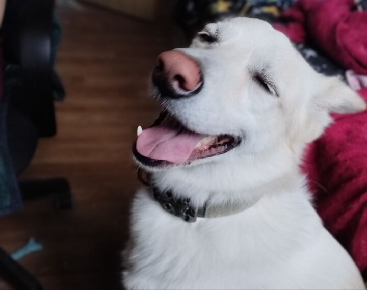     Фото: архив МК в Хакасии