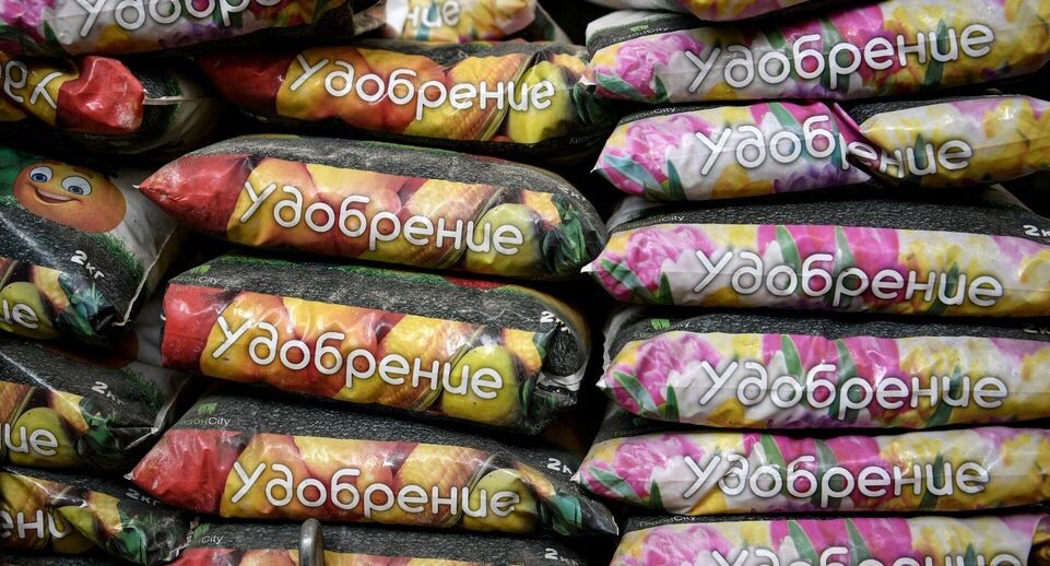    РИА «Новости»