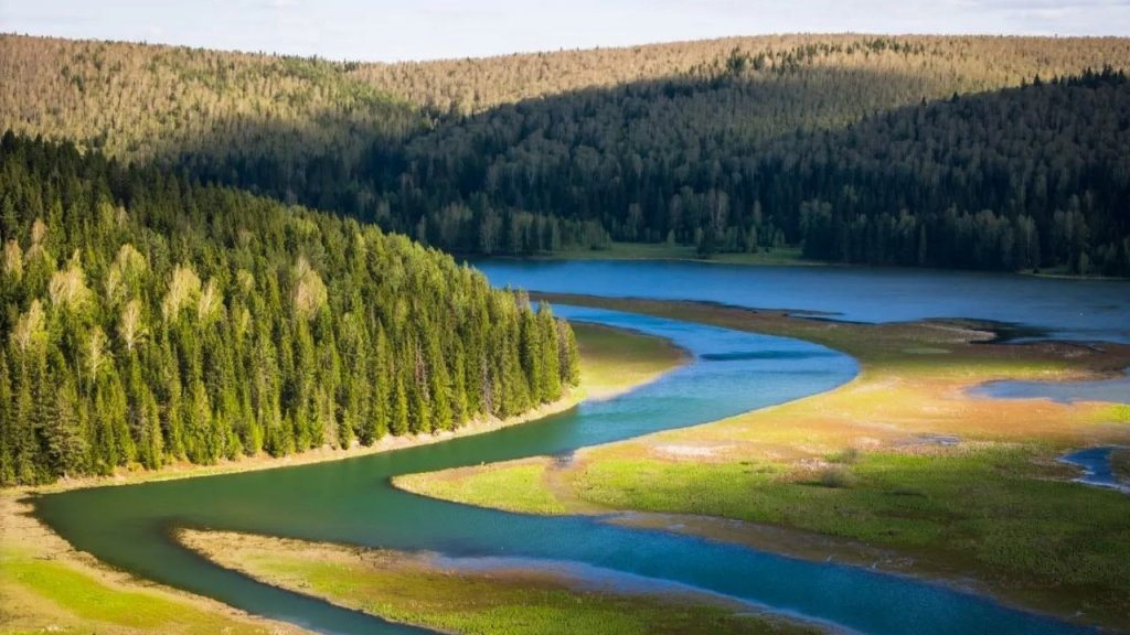    Фото: «Одноклассники»