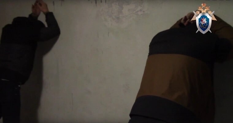    Фото: Пресс-служба следственного комитета по Ульяновской области/ Скриншот видео