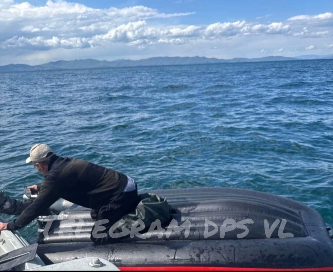     Источник: dps vl