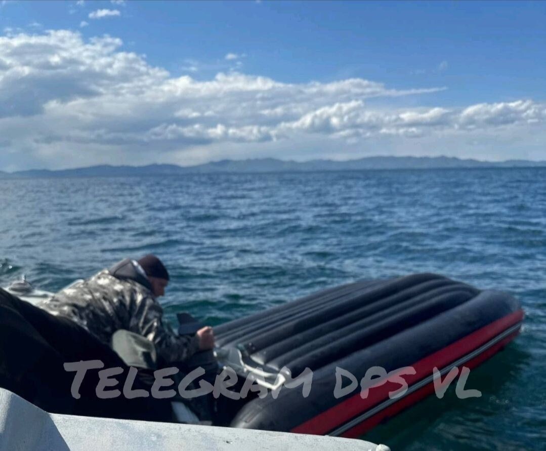     Источник: dps vl