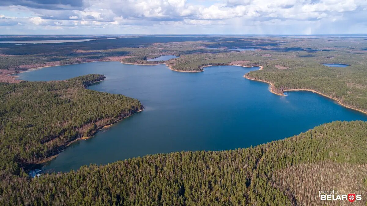 Озеро Белое Юховское славится своей целебной водой – благодаря ей очень быстро заживают раны.