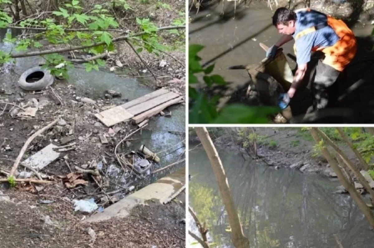    Свыше 50 кубометров мусора собрали на реках Новосибирска