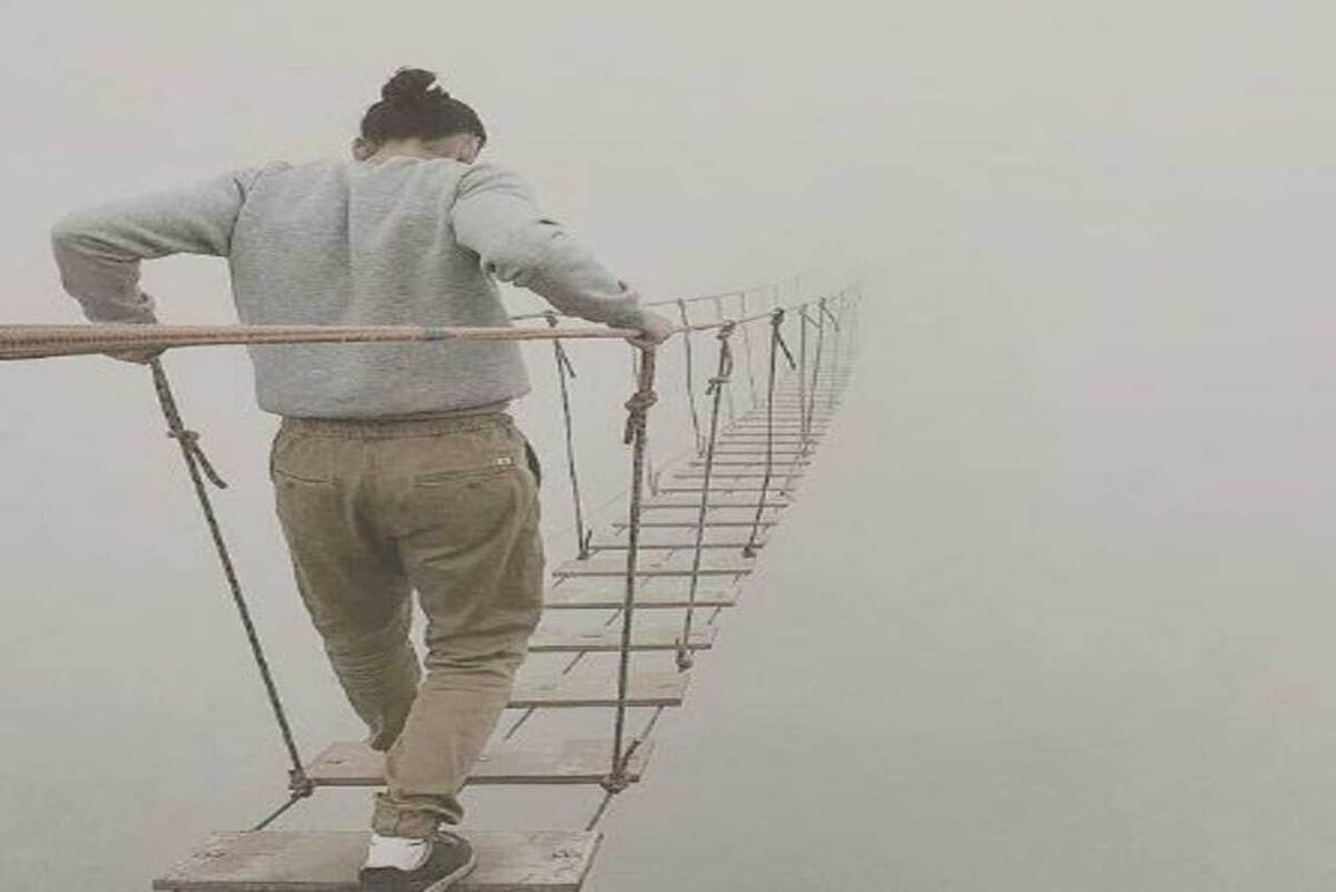 Фото из открытых источников. Яндекс картинки.