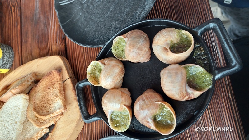 улитки в Крыму: пробуем моллюсков на зуб прямо на ферме