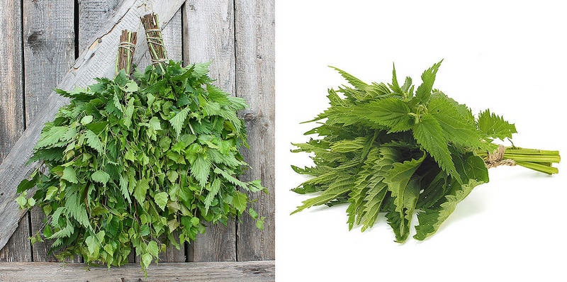 Веник из крапивы в баню: Зачем и чем полезен?