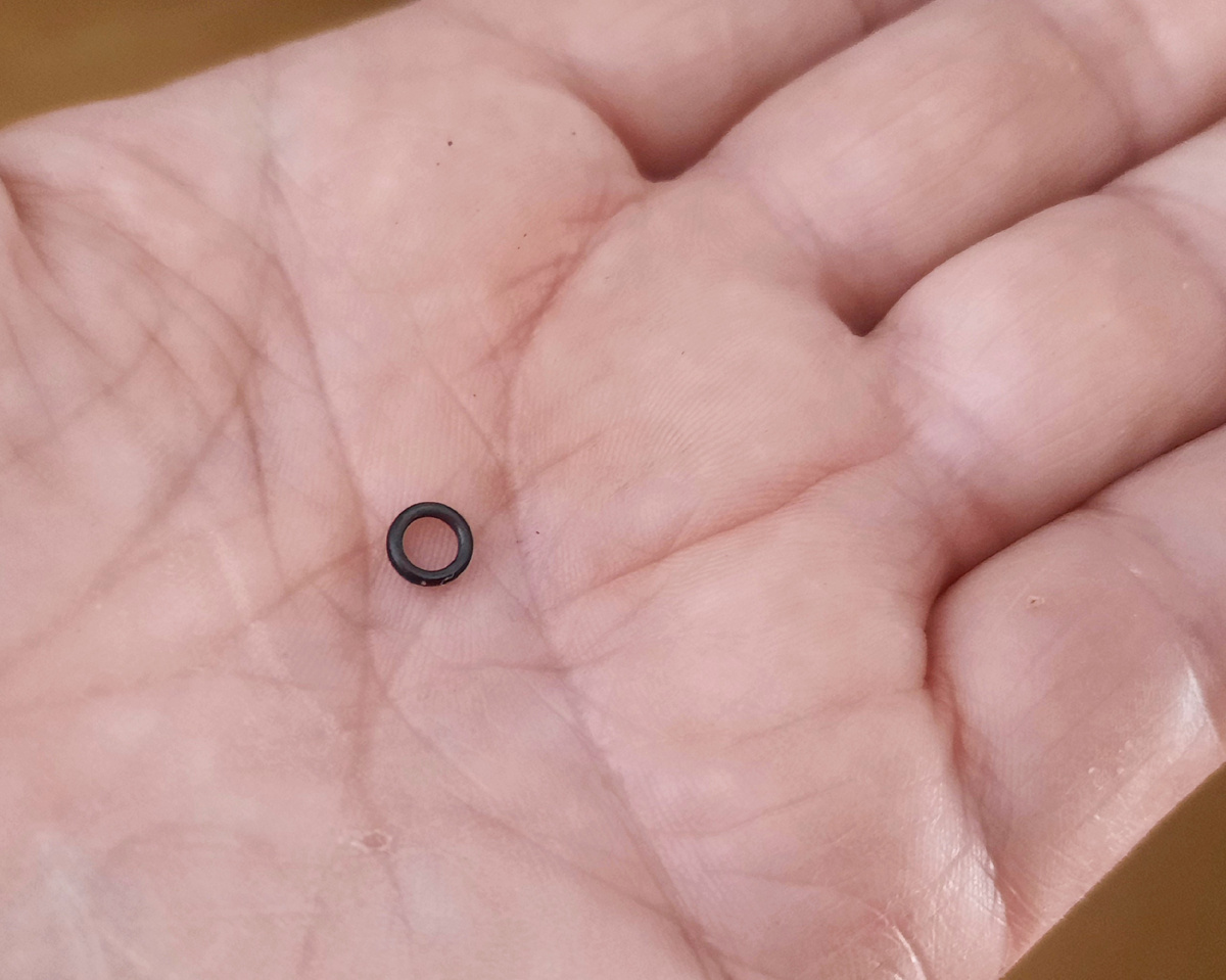 Фото автора.