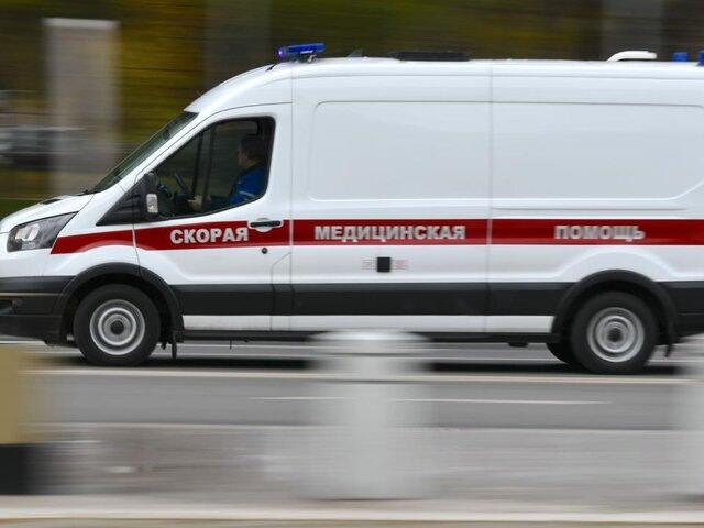    Фото: Москва 24/Антон Великжанин