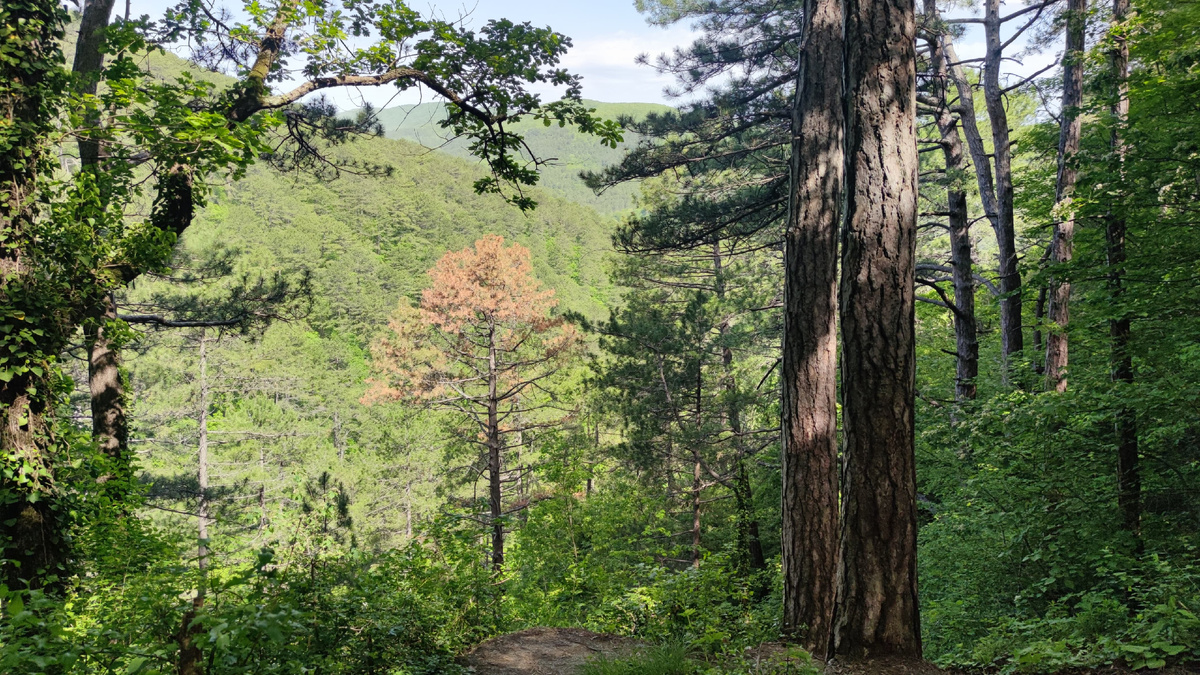 смотровая площадка