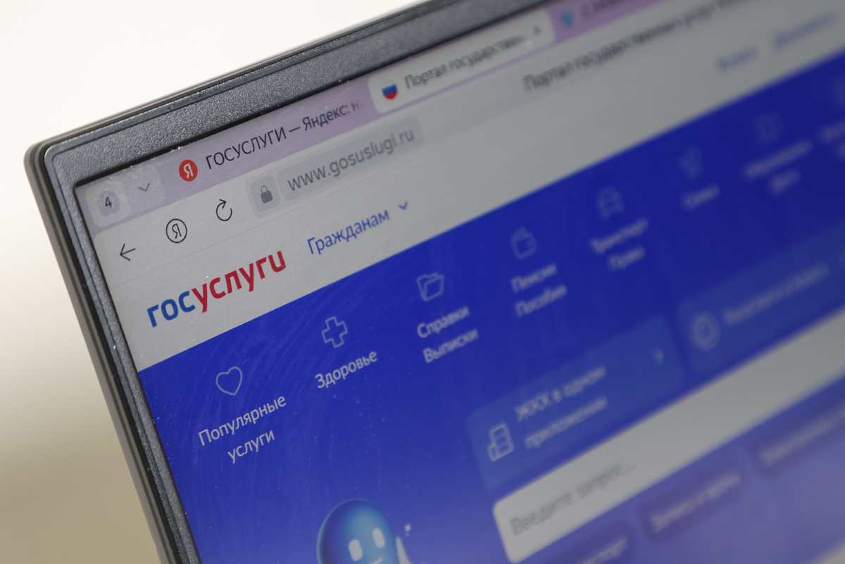    Источник: Алексей Белкин/NEWS.ru/ТАСС