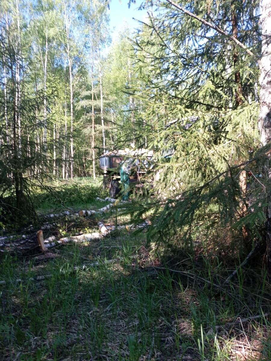 Почти догрузили. Аллилуя