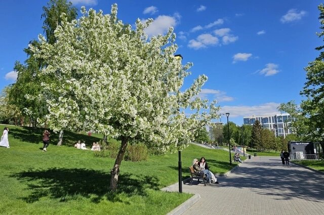    Фото: МК в Новосибирске/ Фотограф Юрий Бабичев