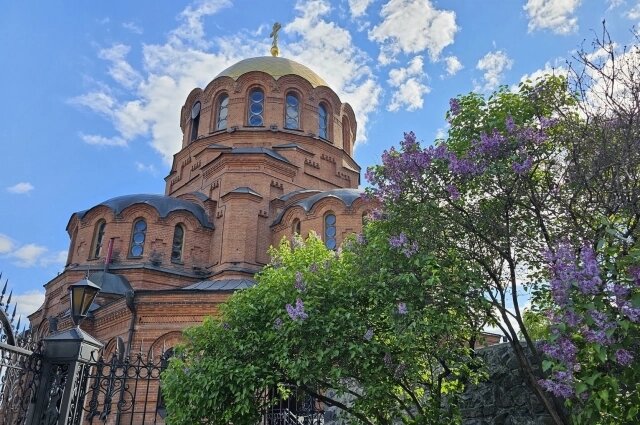    Фото: МК в Новосибирске/ Фотограф Юрий Бабичев