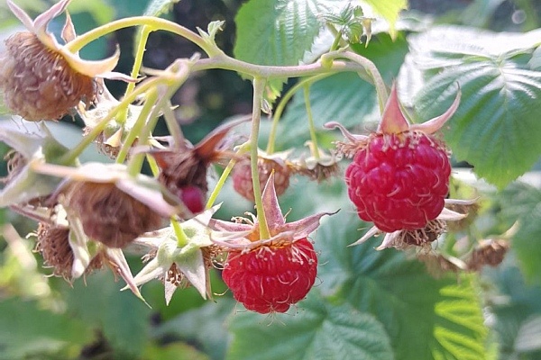    Фото Елены Меркуловой. Екатерина Молчанова