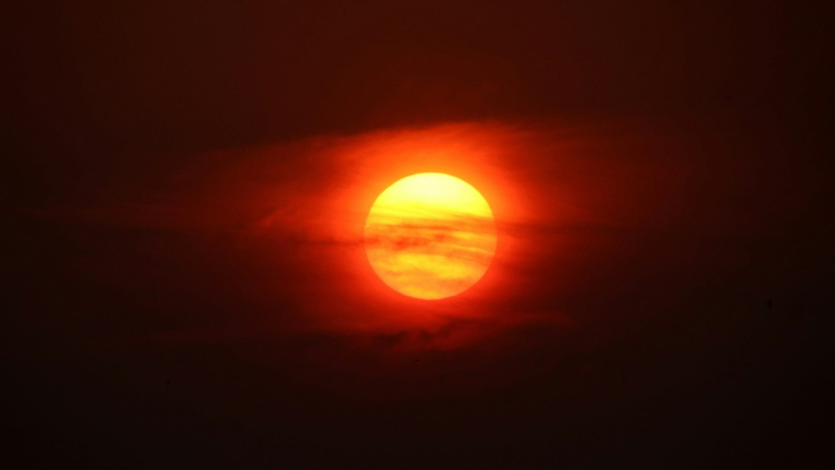 viswaprem anbarasapandian / Unsplash
      