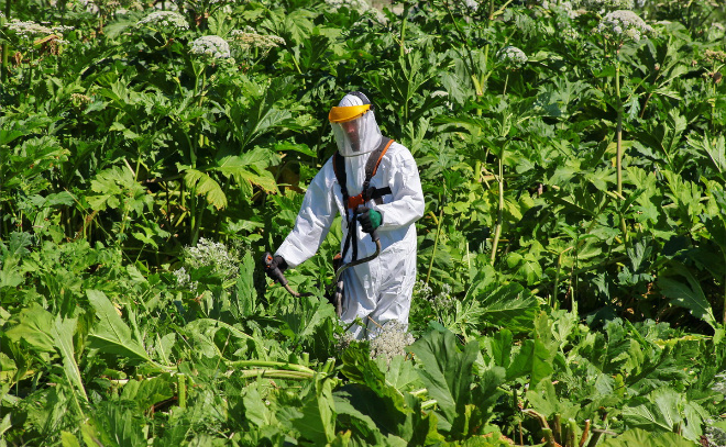    © Анастасия Илюшина / ЛенТВ24