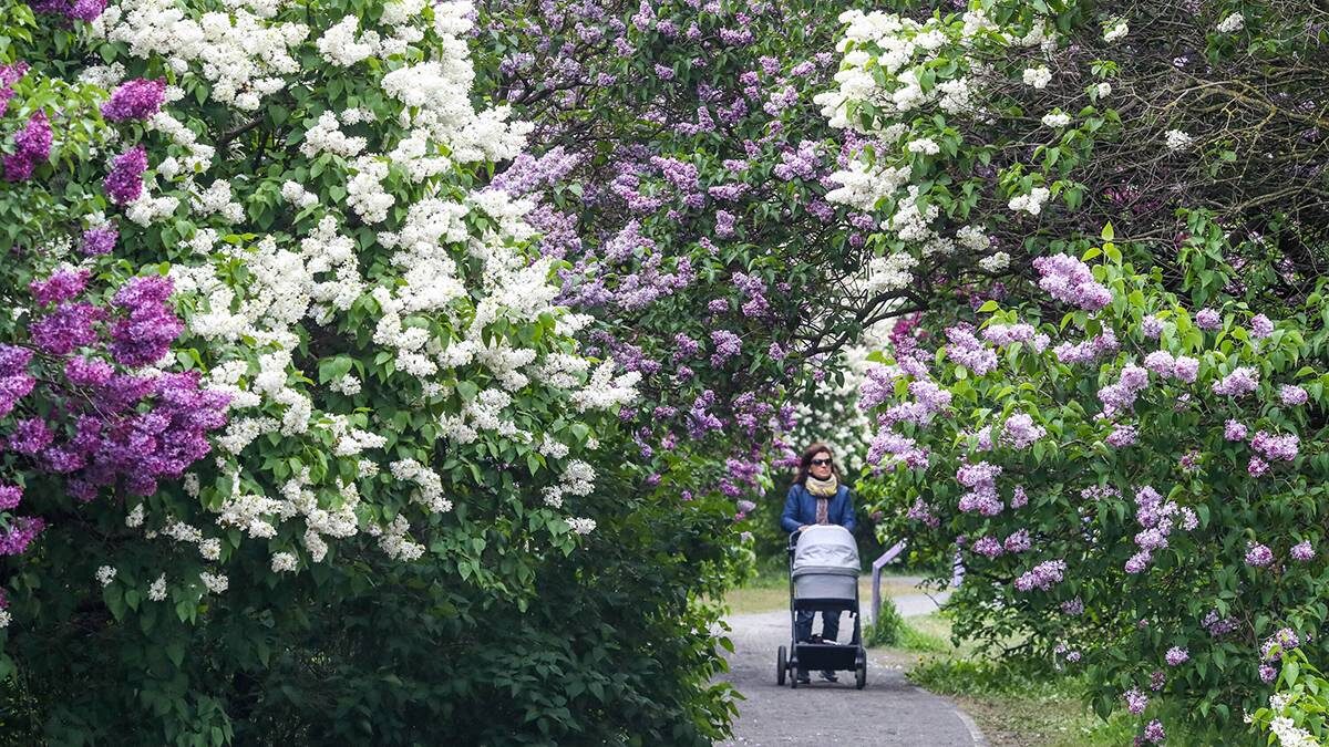    Фото: Василий Кузьмиченок / АГН Москва