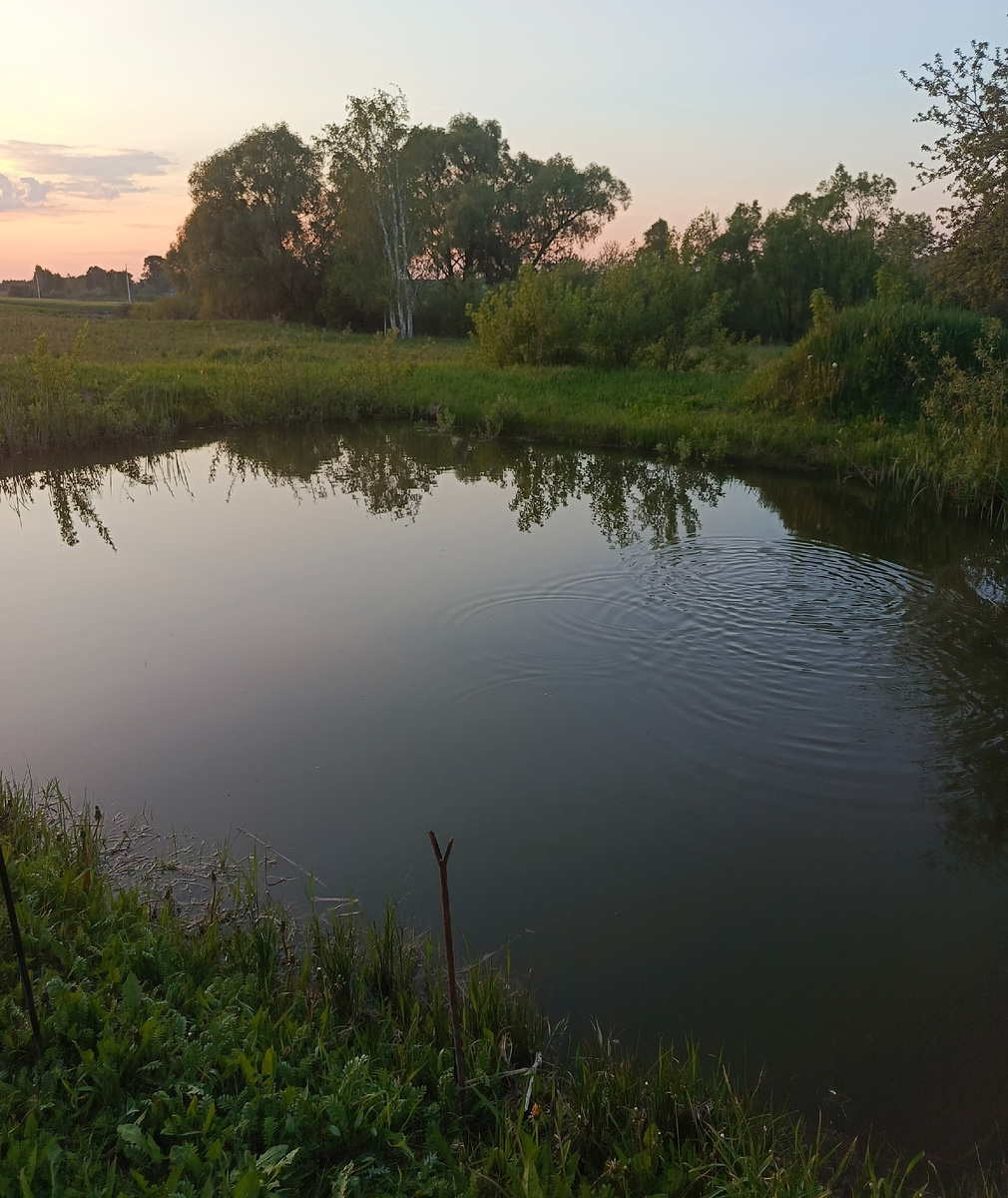 Для превью. Наш водоемчик с рыбкой)