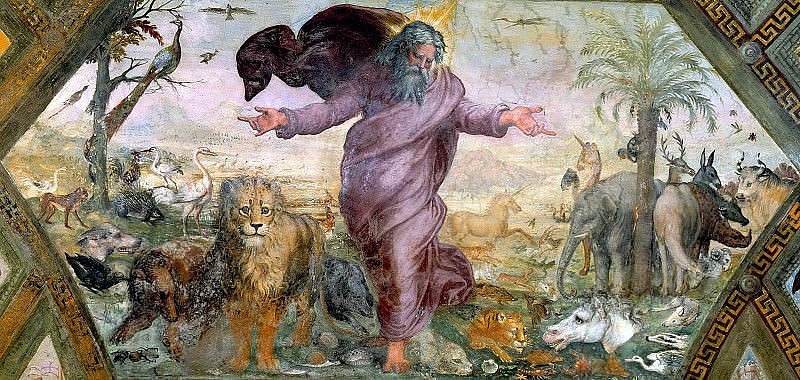 Рафаэль Санти, «Сотворение животных», Музеи Ватикана