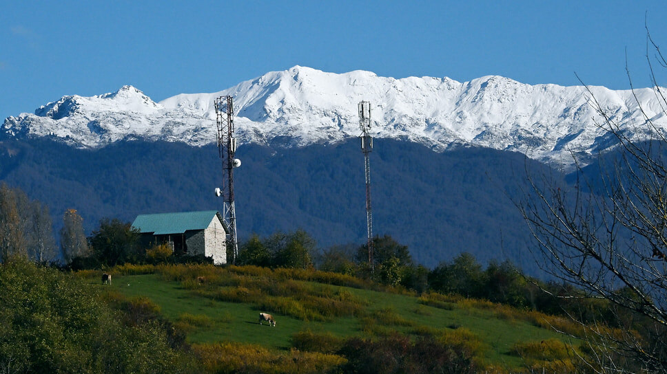 Фото: Анатолий Жданов / Коммерсантъ