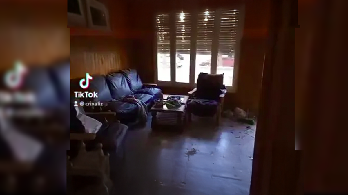 Здесь и дальше – фото и видео, снятые этим парнем. (с) Crixaliz