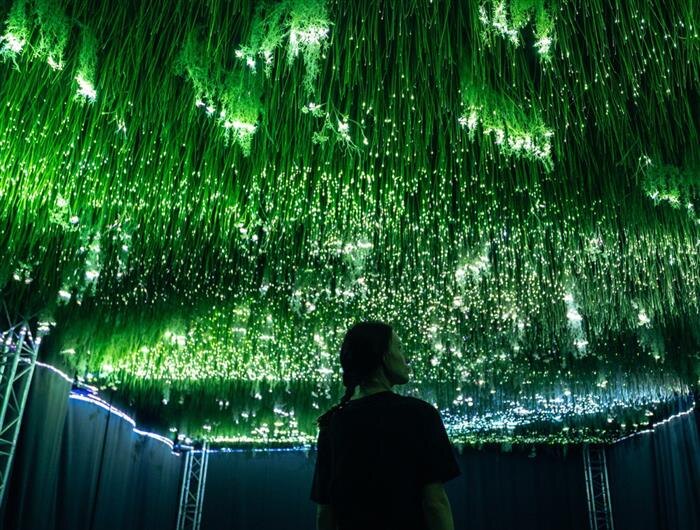    ФОТО: предоставлено T2