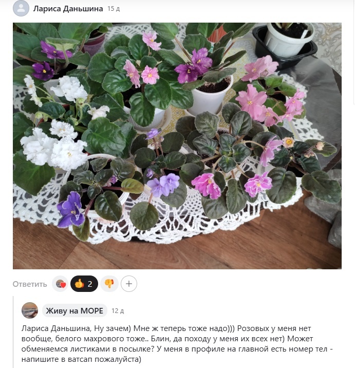 Скрин автора