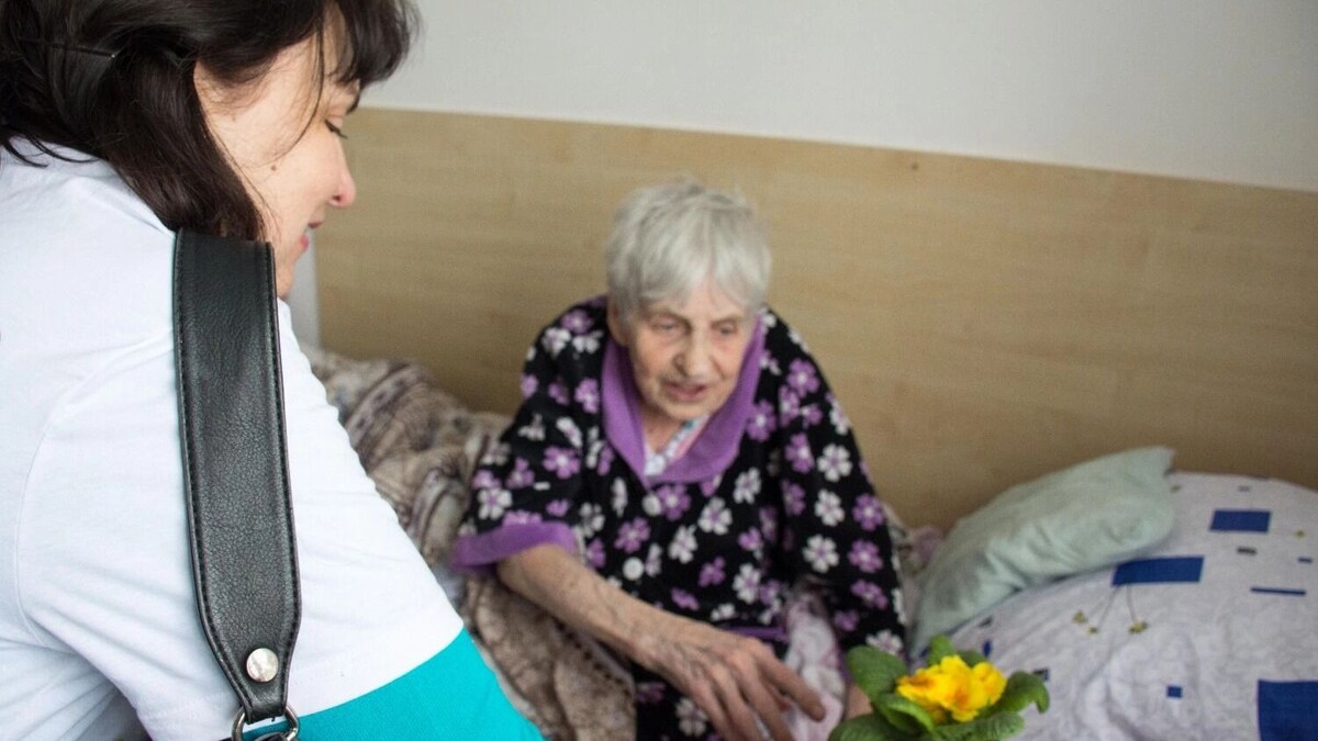     Источник: 1MI