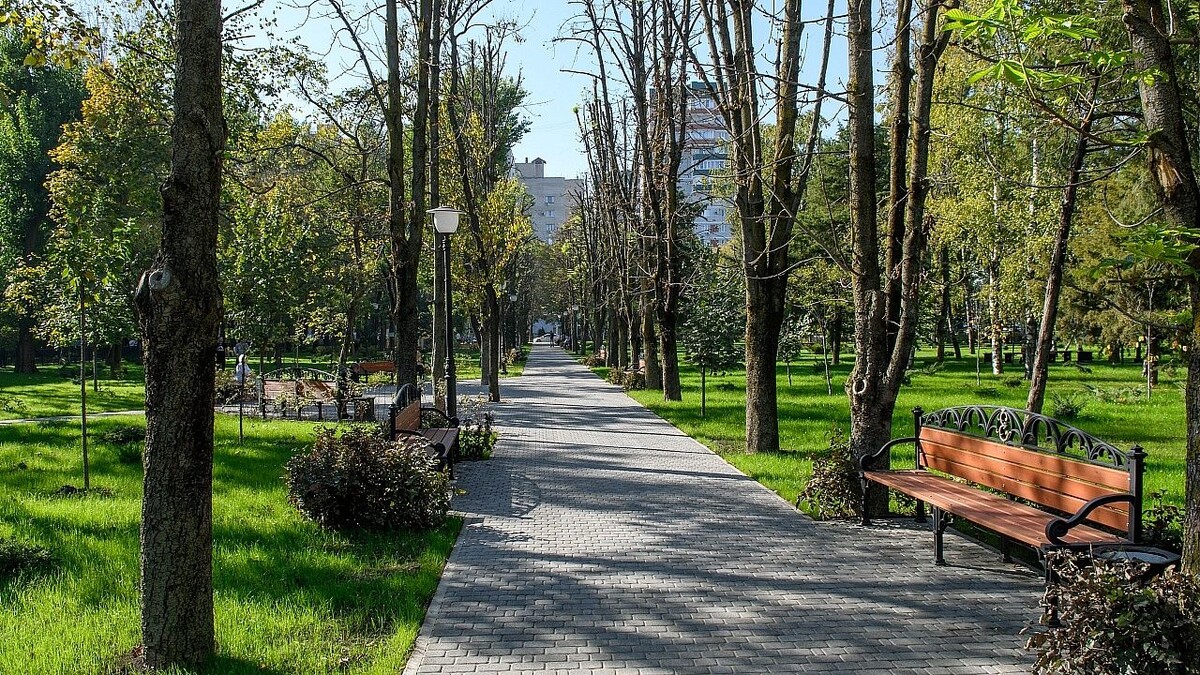    Фото: пресс-служба администрации Краснодара