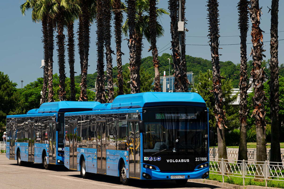    Фото: пресс-служба ФТ «Сириус»