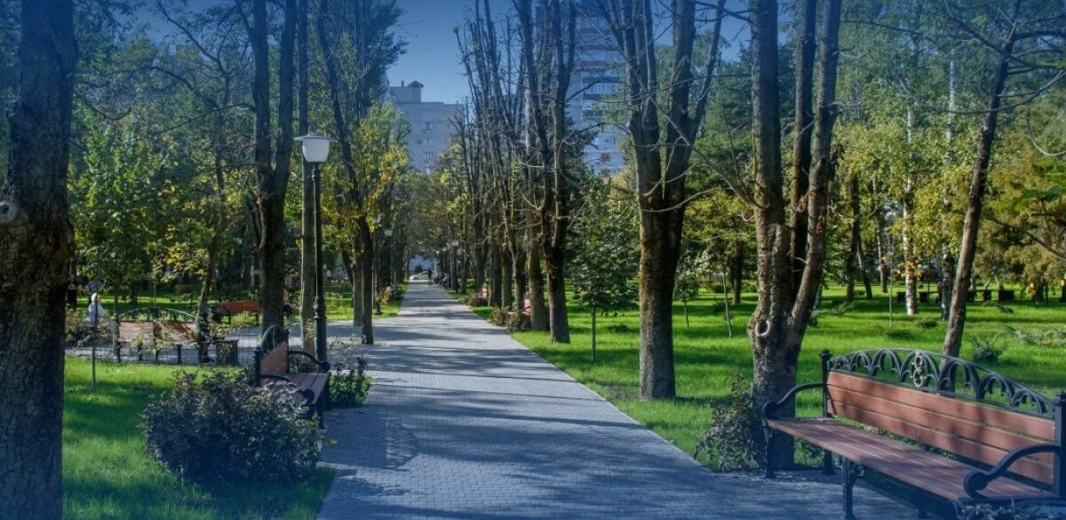    Фото пресс-службы администрации Краснодара