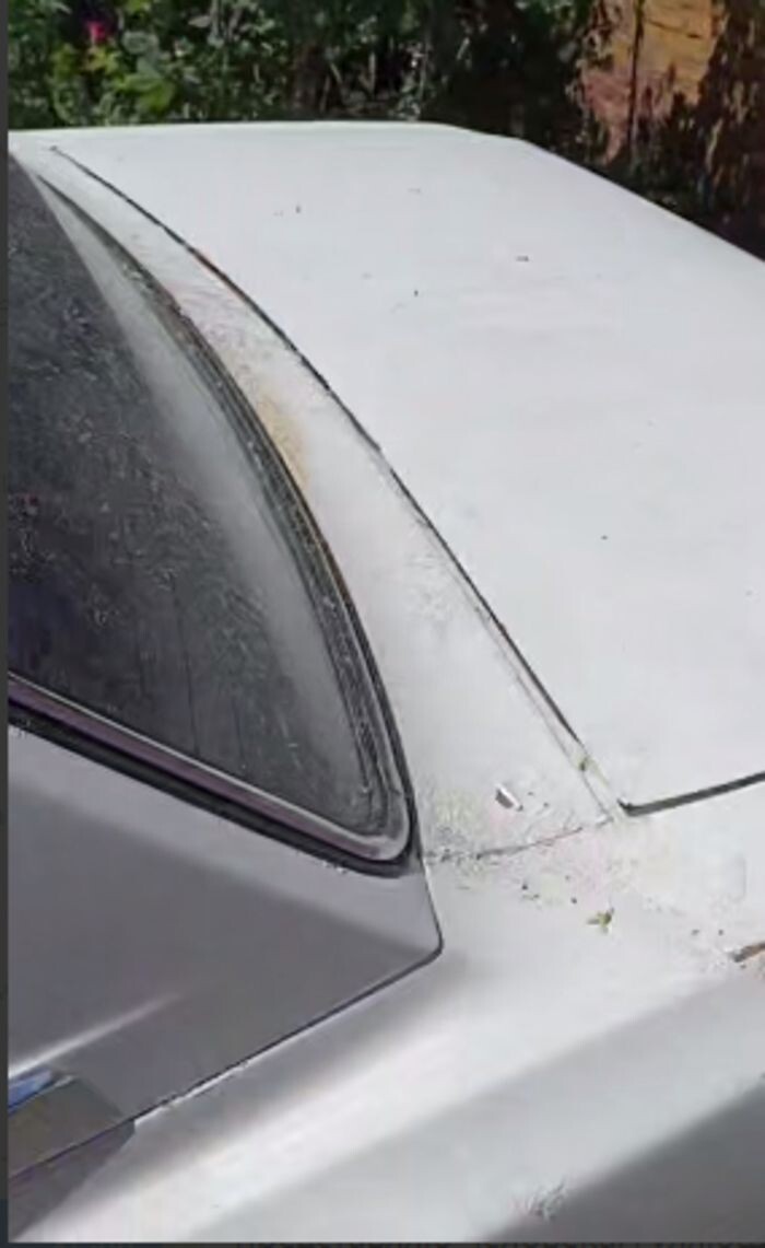 Источник фото: Тютина/telegram.com
