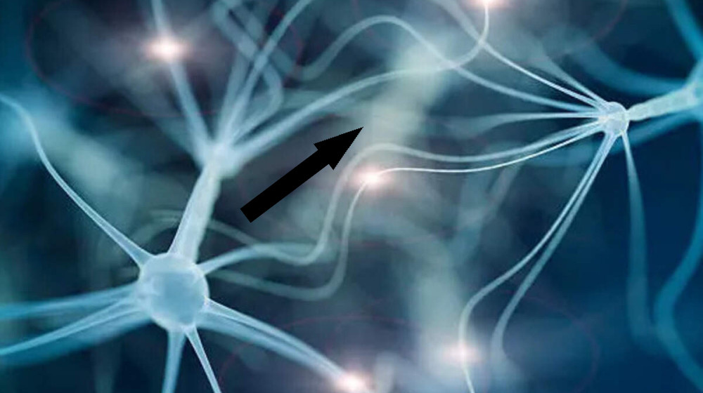    Мозг рисует лица в облаках и это не просто игра воображения