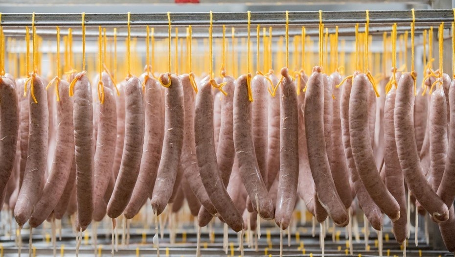    Автор фото: Ермохин Сергей