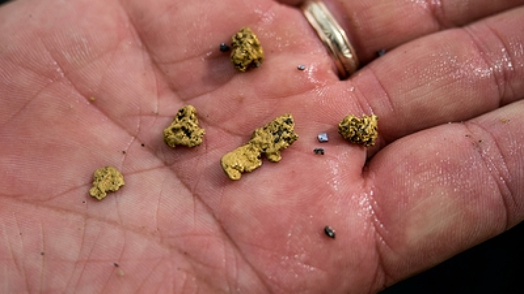    Фото: Vitaly Ivanov/Globallookpress