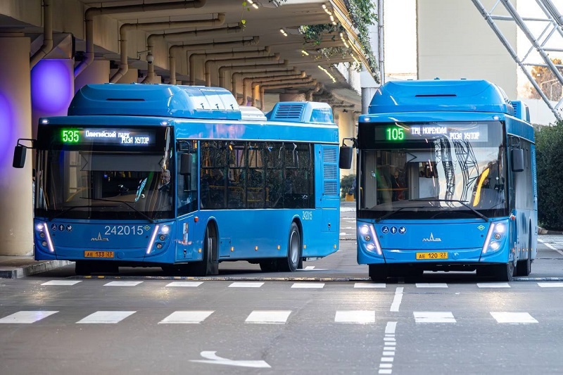    Фото: пресс-служба администрации Сочи