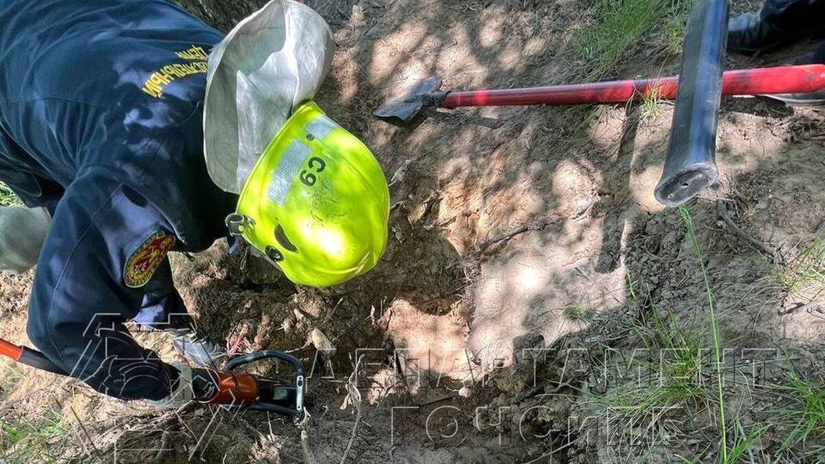    Фото: Пресс-служба департамента по делам гражданской обороны, чрезвычайным ситуациям и пожарной безопасности Москвы