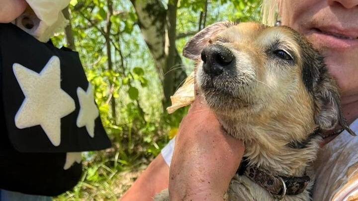  Фото: пресс-служба департамента по делам гражданской обороны, чрезвычайным ситуациям и пожарной безопасности Москвы