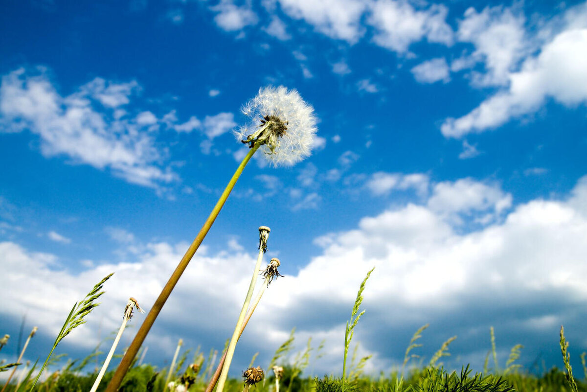    Погода 123RF/legion-media.ru